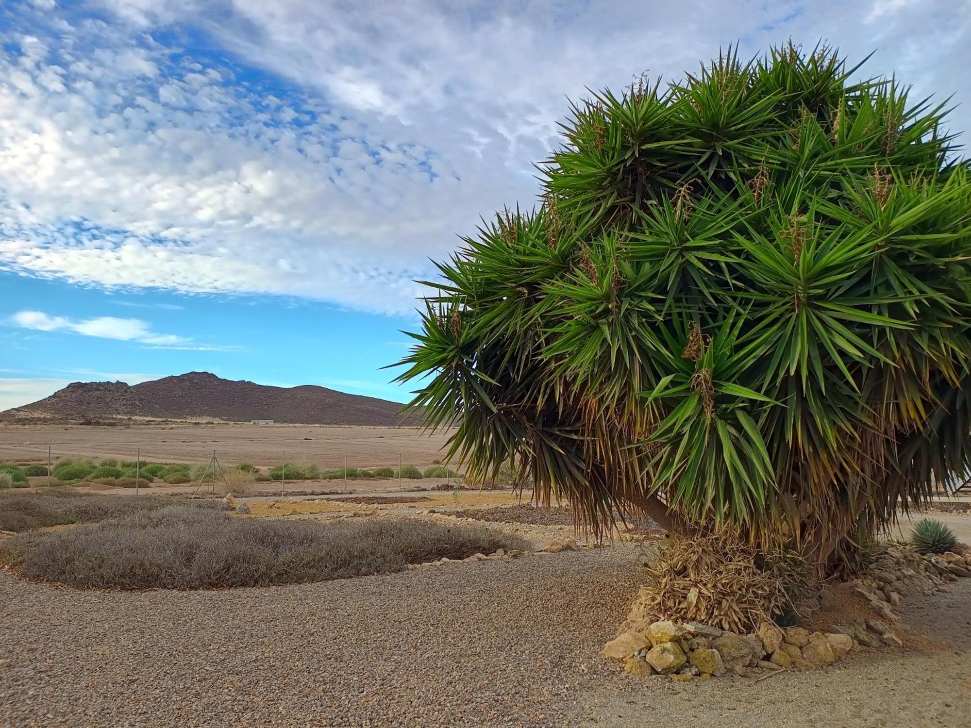 Appartamento El Oasis Morado Lorca  Esterno foto