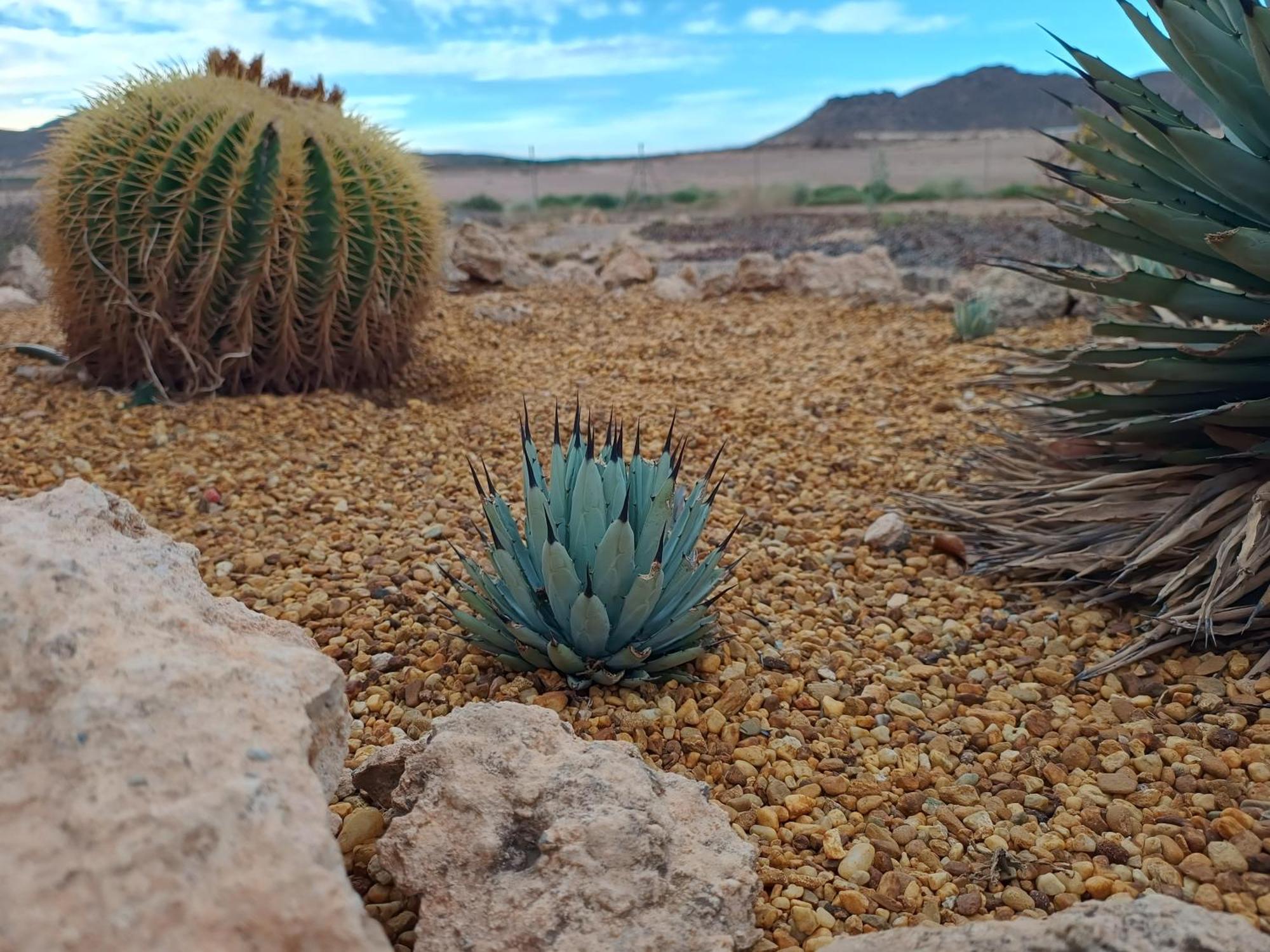 Appartamento El Oasis Morado Lorca  Esterno foto